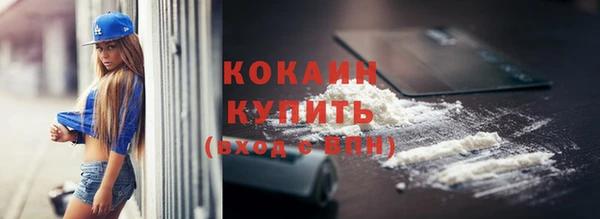 кокс Ельня