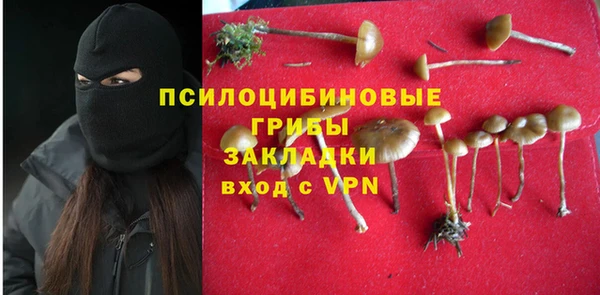 ECSTASY Новодвинск