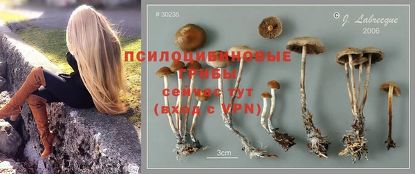 mix Дмитровск