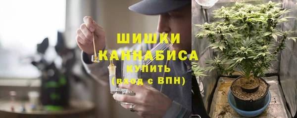 бошки Нефтегорск