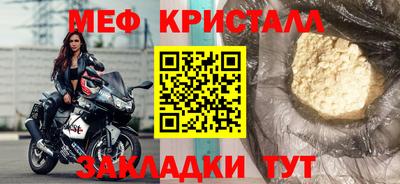 шишки Дубна