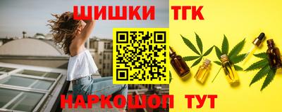 шишки Дубна