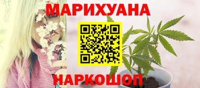 шишки Дубна