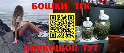 шишки Дубна
